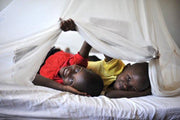 An image of two children using a mosquito net.